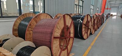 Shandong Jinyu Cable Co., Ltd. línea de producción del fabricante